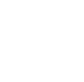 Our Vision
